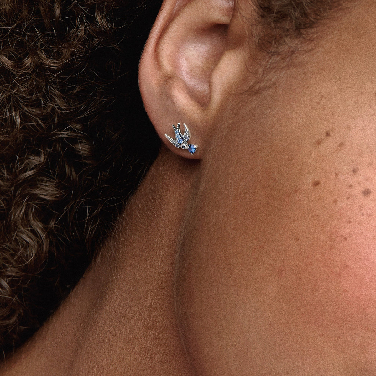 Stud Earrings – Sterling Silver – Sparkling Swallow