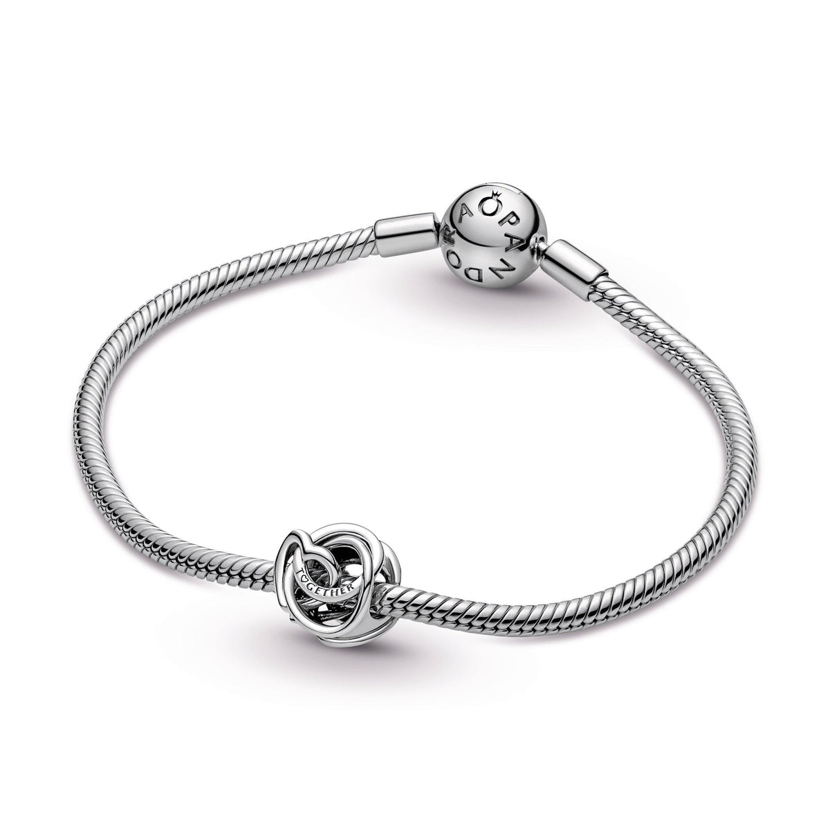 Charm – Sterling Silver – Family Always Encircled Heart