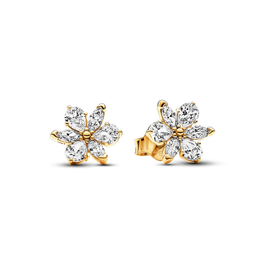 Stud Earrings – 14k Gold-Plated – Sparkling Herbarium Cluster
