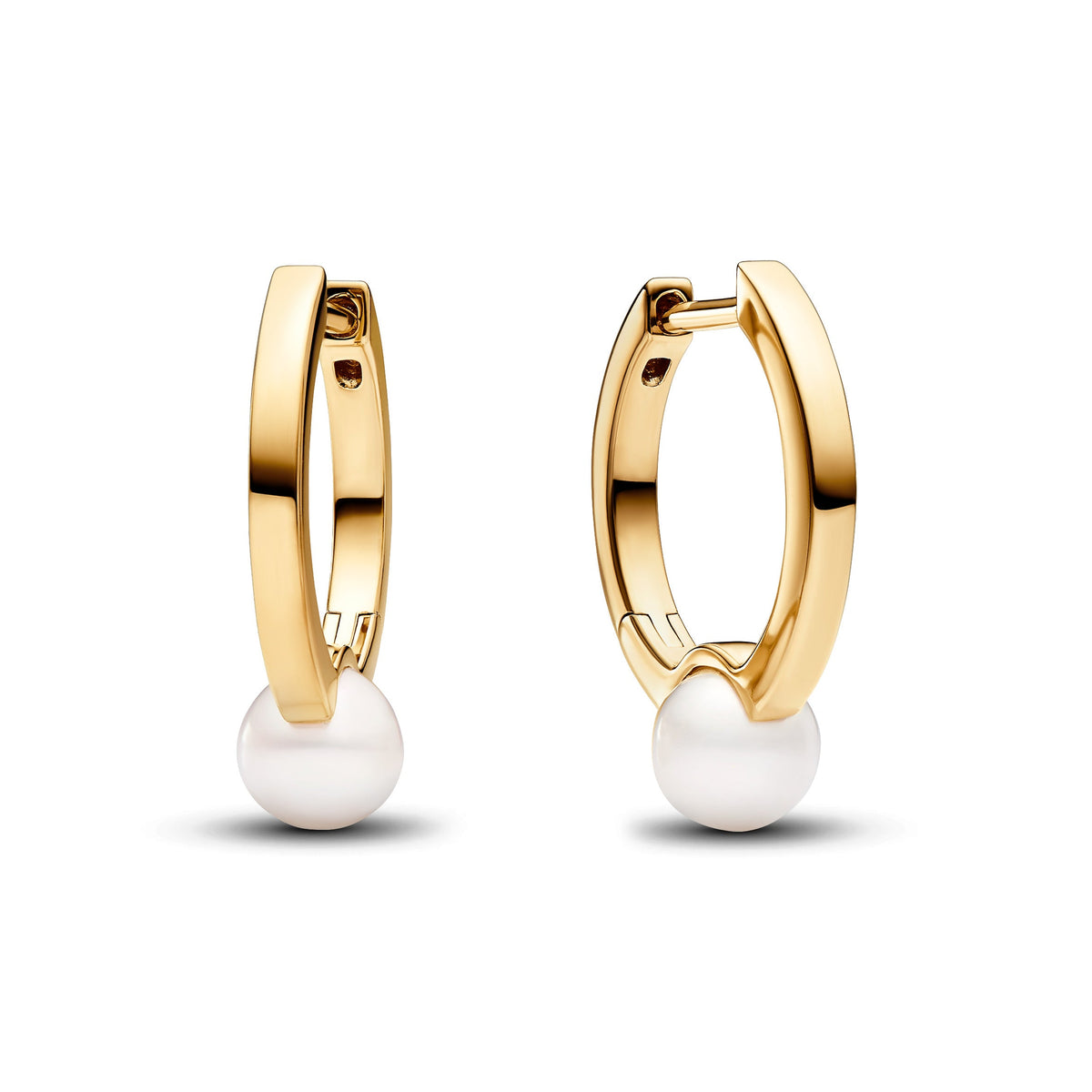 Hoop Earrings – 14k Gold-Plated – Treated Freshwater Cultured Pearl