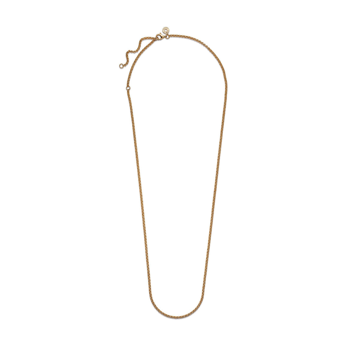 Chain Necklace – 14k Gold-Plated – Rolo