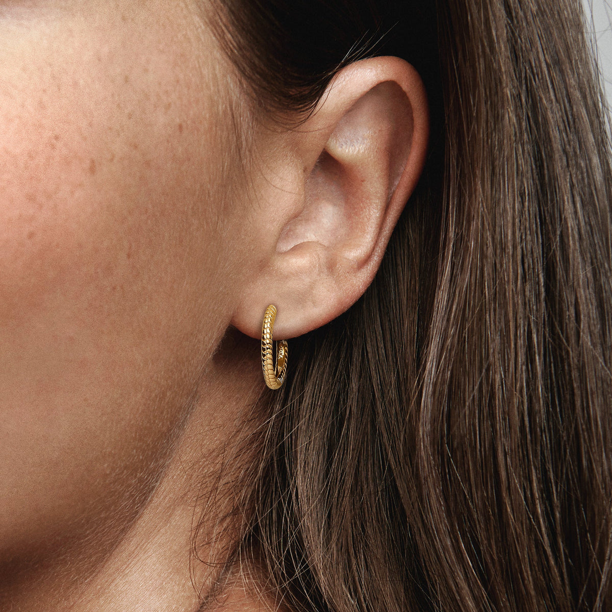 Hoop Earrings – 14k Gold-Plated – Pandora Moments Small Charm