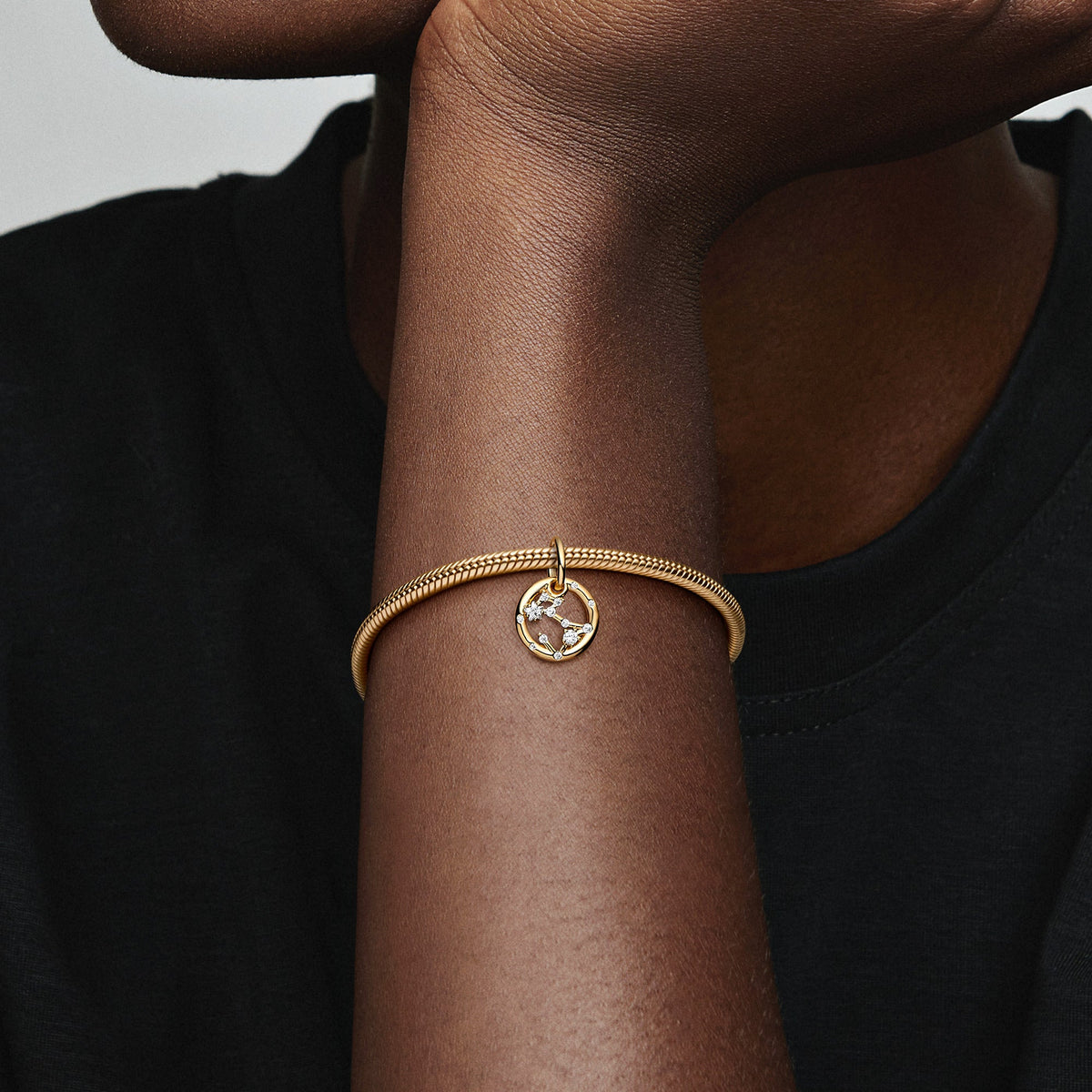 Dangle Charm – 14k Gold-Plated – Pisces Zodiac