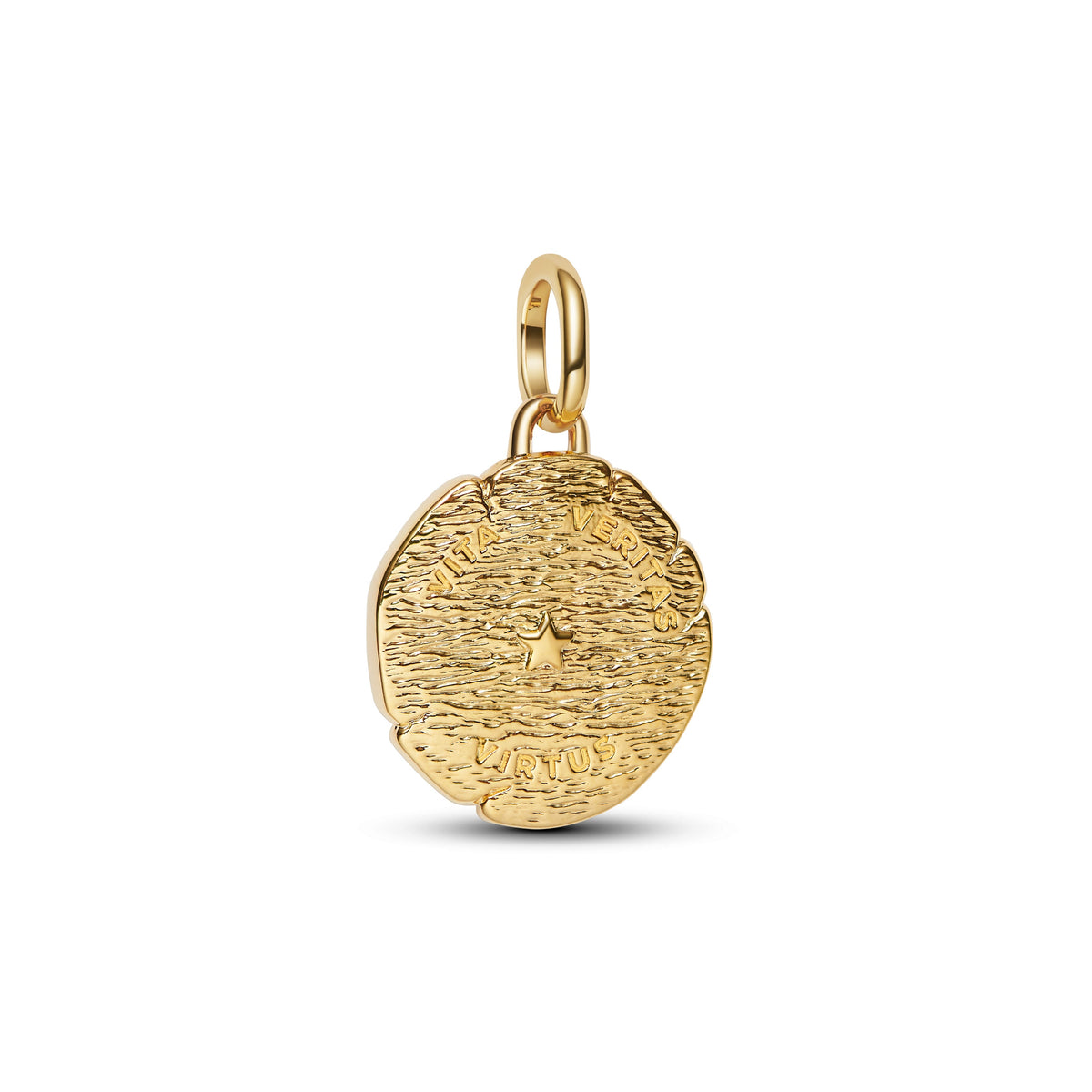 Charm – 14k Gold-Plated – Lion Medallion