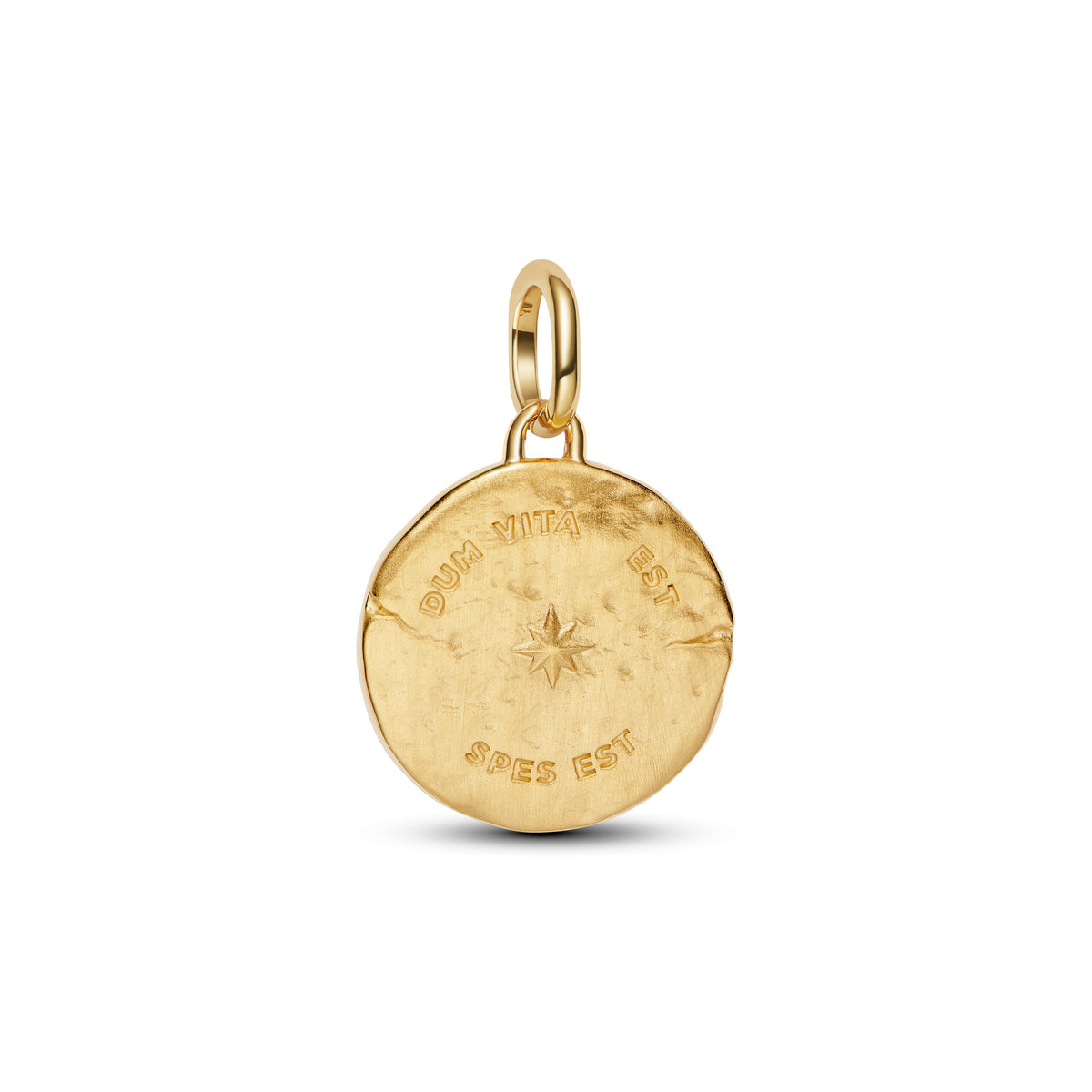 Charm – 14k Gold-Plated – Swallow Medallion