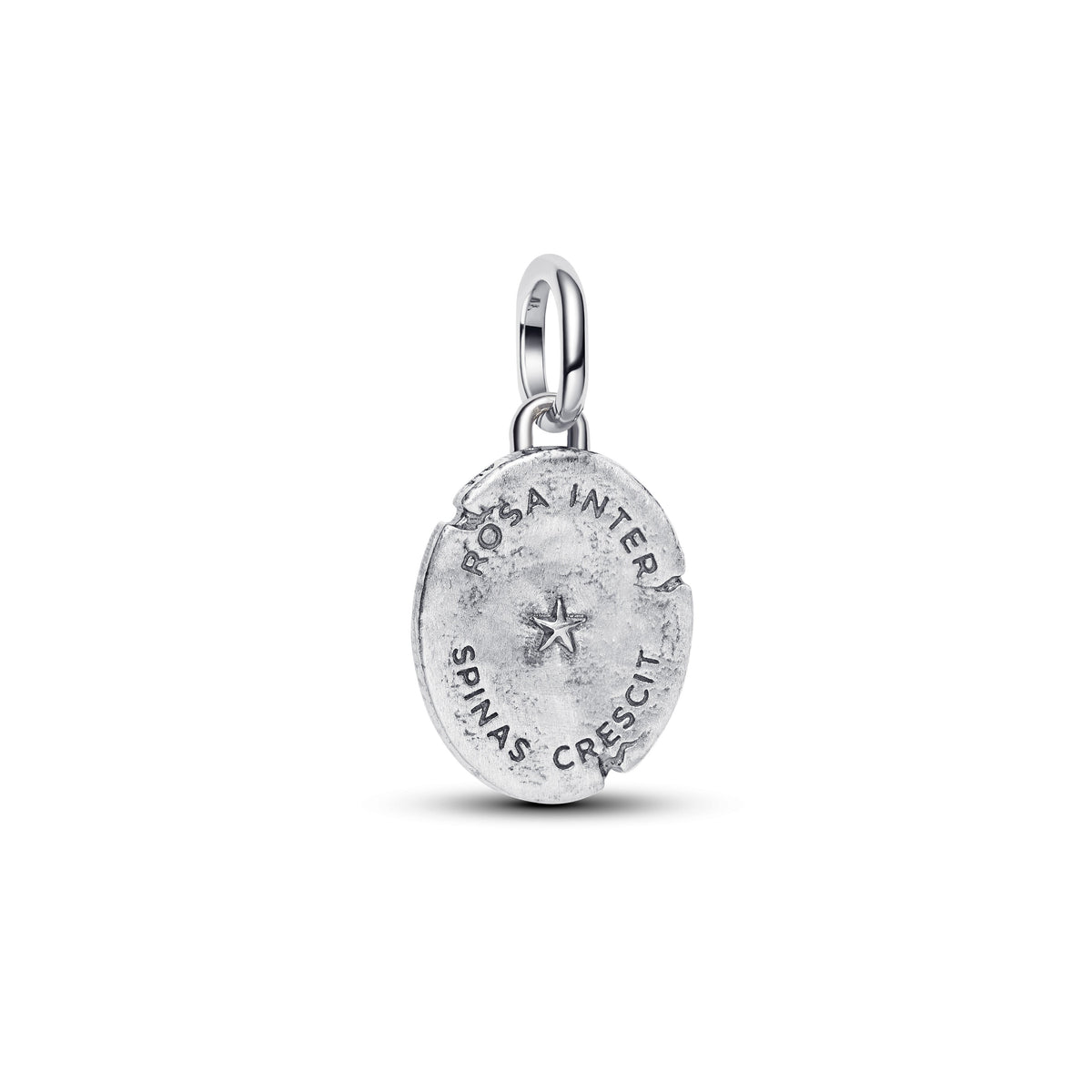 Charm – 14k Gold-Plated – Rose Medallion